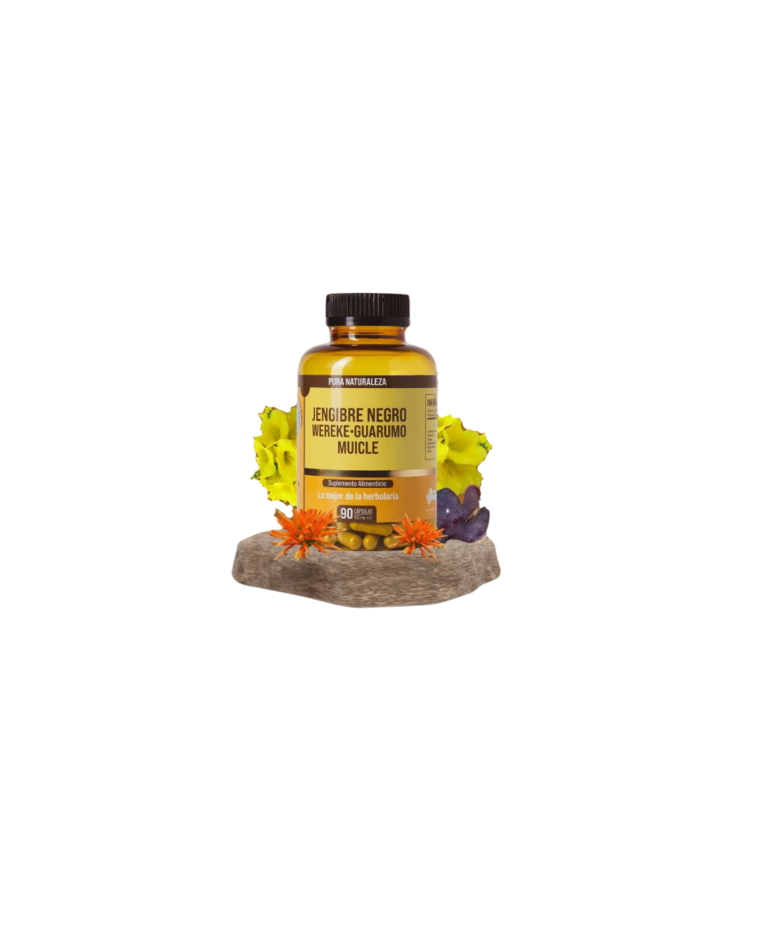 JENGIBRE NEGRO WEREKE