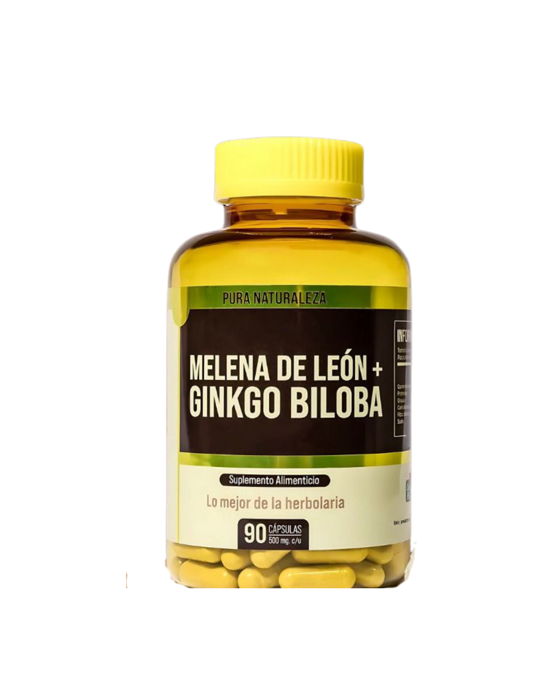 MELENA DE LEÓN + GINKGO BILOBA